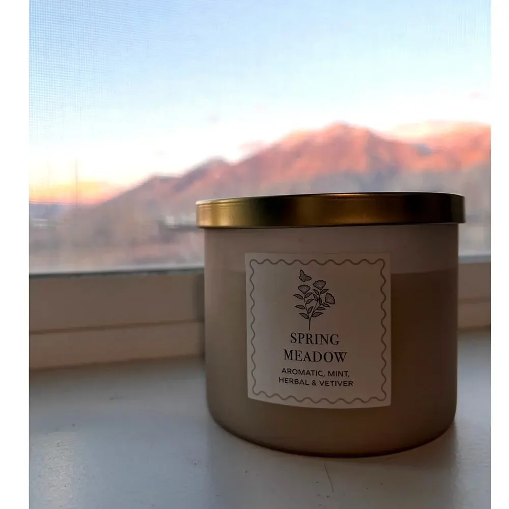 Place & Time Spring Meadow 3-Wick 14oz Candle Scented NEW Aromatic Mint Earthy